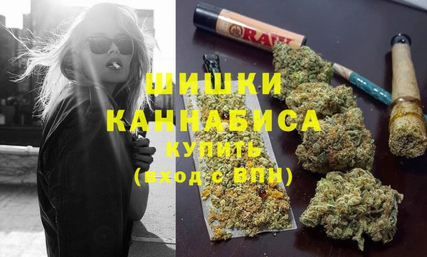 2c-b Горнозаводск