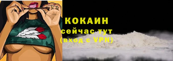 стафф Горняк