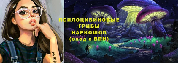 марки lsd Горно-Алтайск