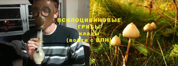 стафф Горняк