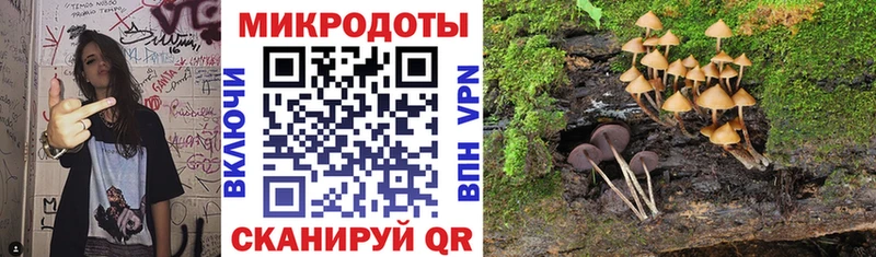 Галлюциногенные грибы Psilocybine cubensis  Купить где  Кирово-Чепецк 